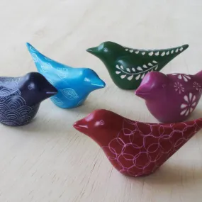 Colorful Bird