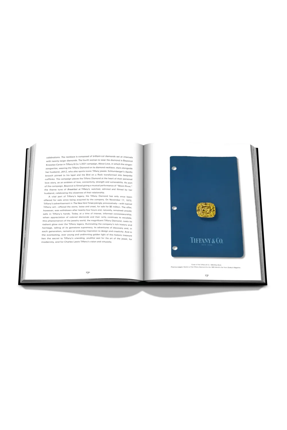 Handcrafted Silk Coffee Table Book (Ultimate Edition) | Assouline Tiffany & Co. Vision and Virtuosity